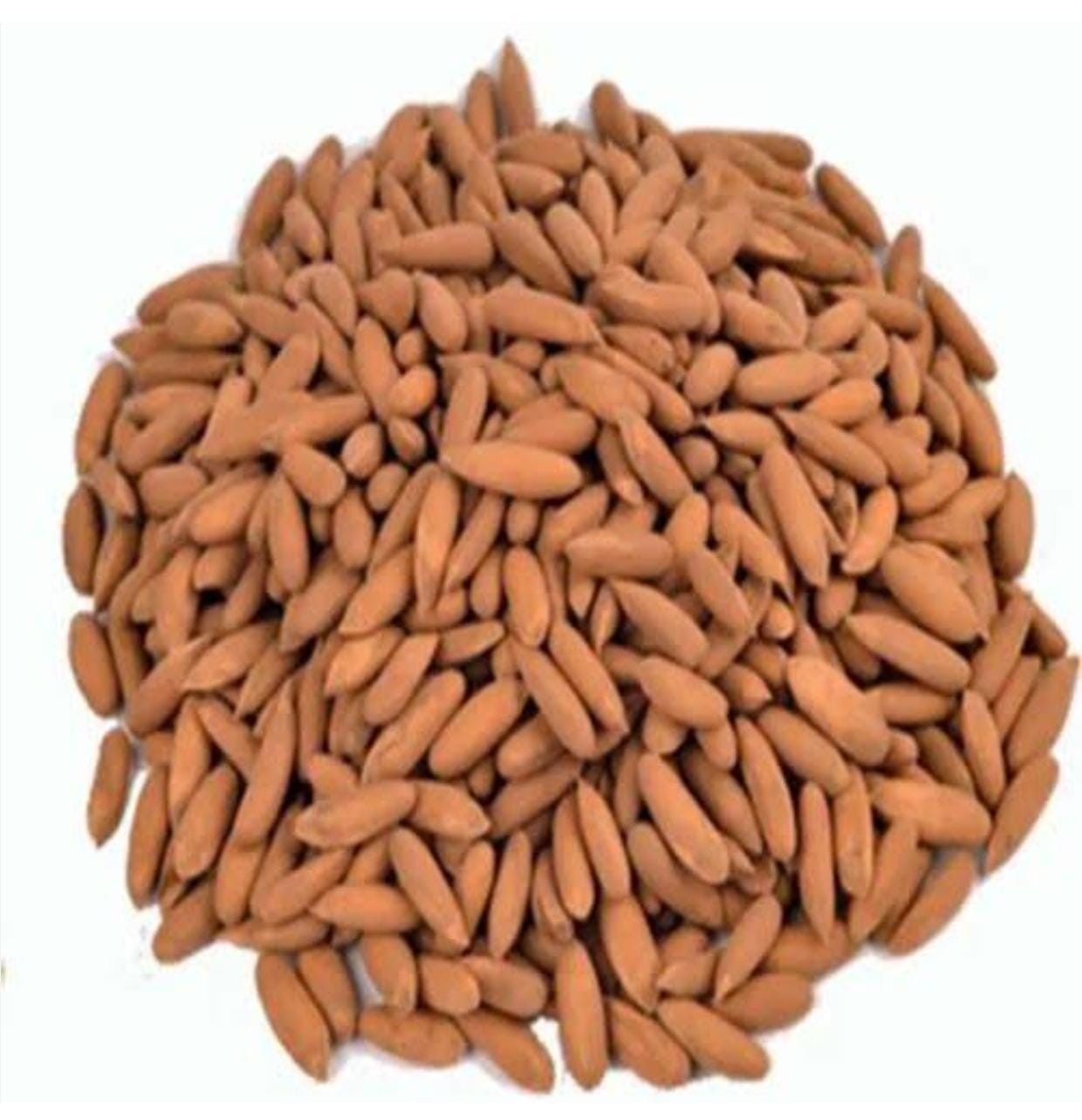 Chigoja Badam