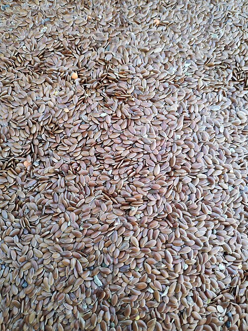 Flax Seeds (Alsi)