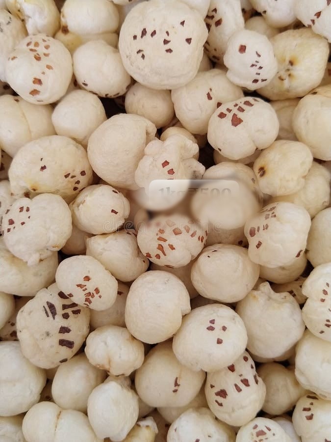 Makhana Suta (Jumbo)