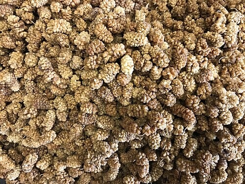 Dried Mulberries (Shahtoot)