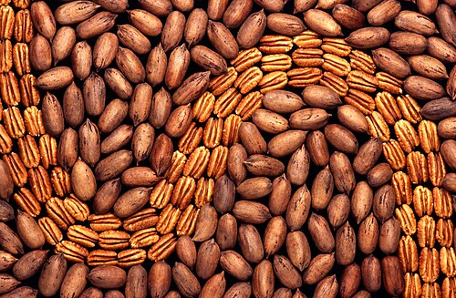 Pecan Nuts
