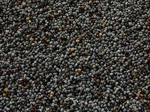 Khus Khus (Poppy Seeds)