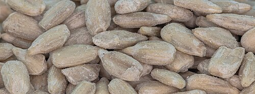 Sunflower Seeds